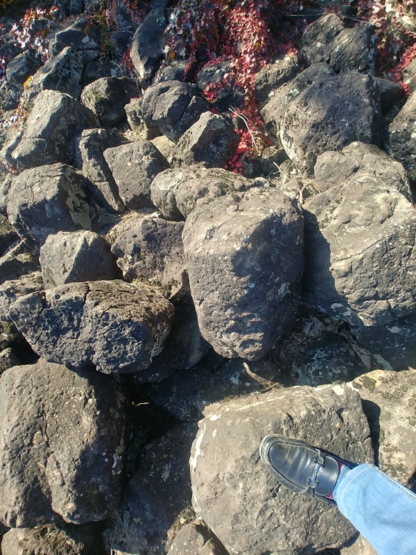 20201020_144238_HDR.jpg