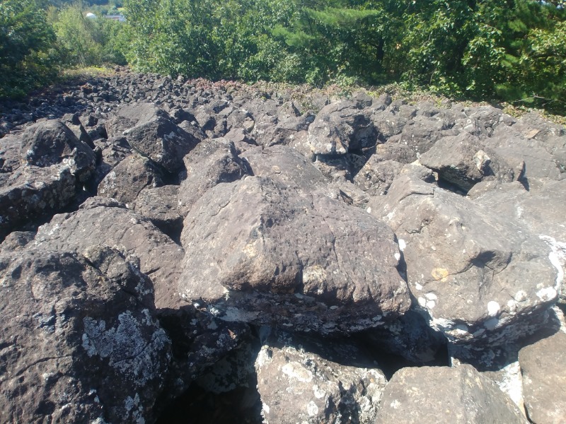 20201007_114136.jpg